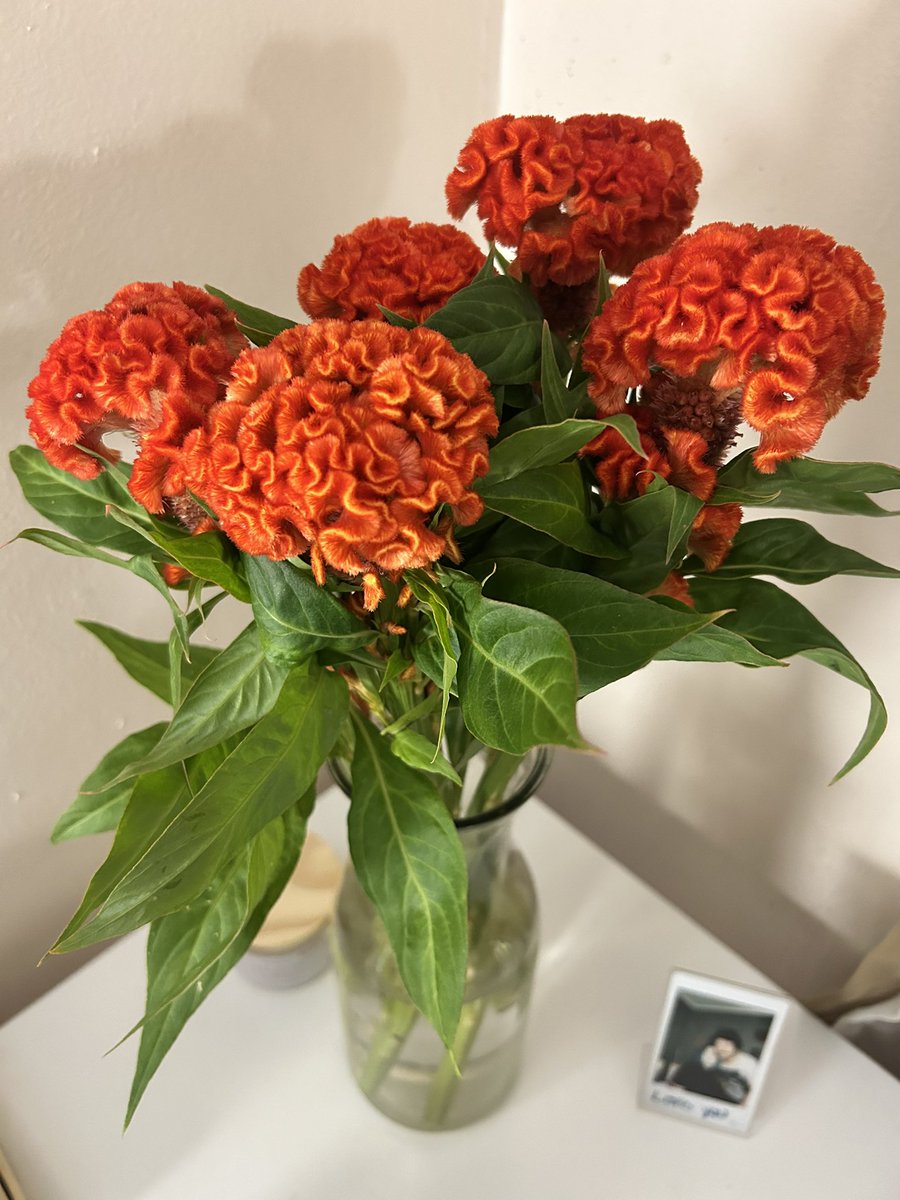 Alê Barbieri tweet media