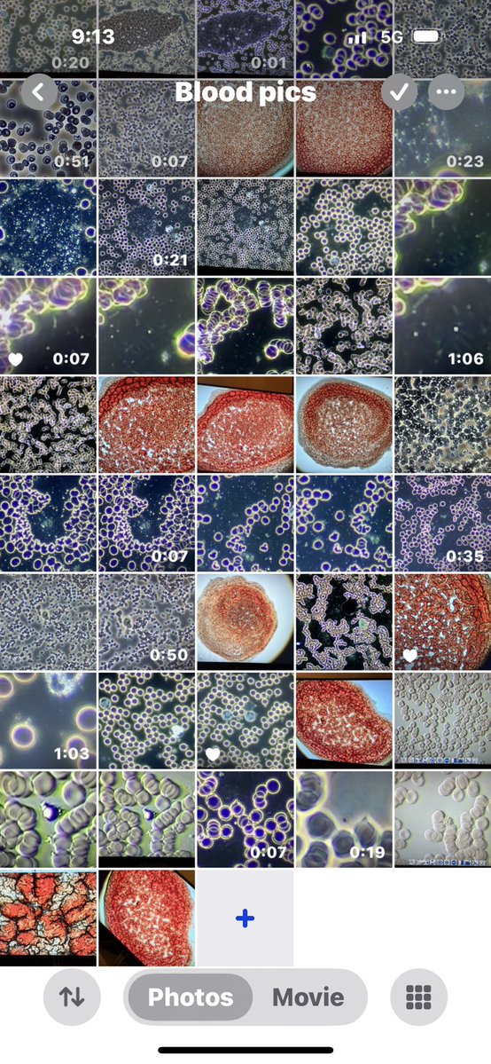 Jesus Heals Broken Everything tweet media