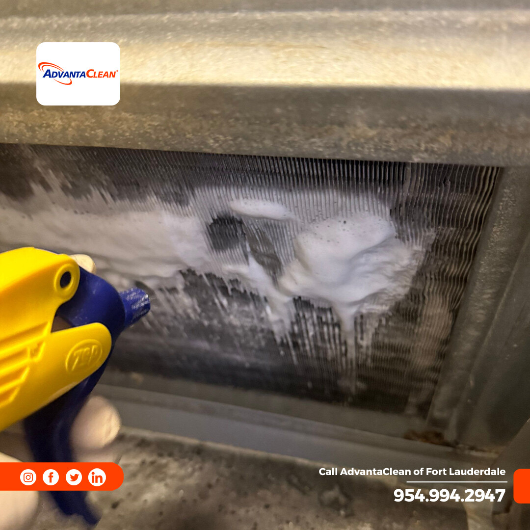 AdvantaClean Of Fort Lauderdale tweet media