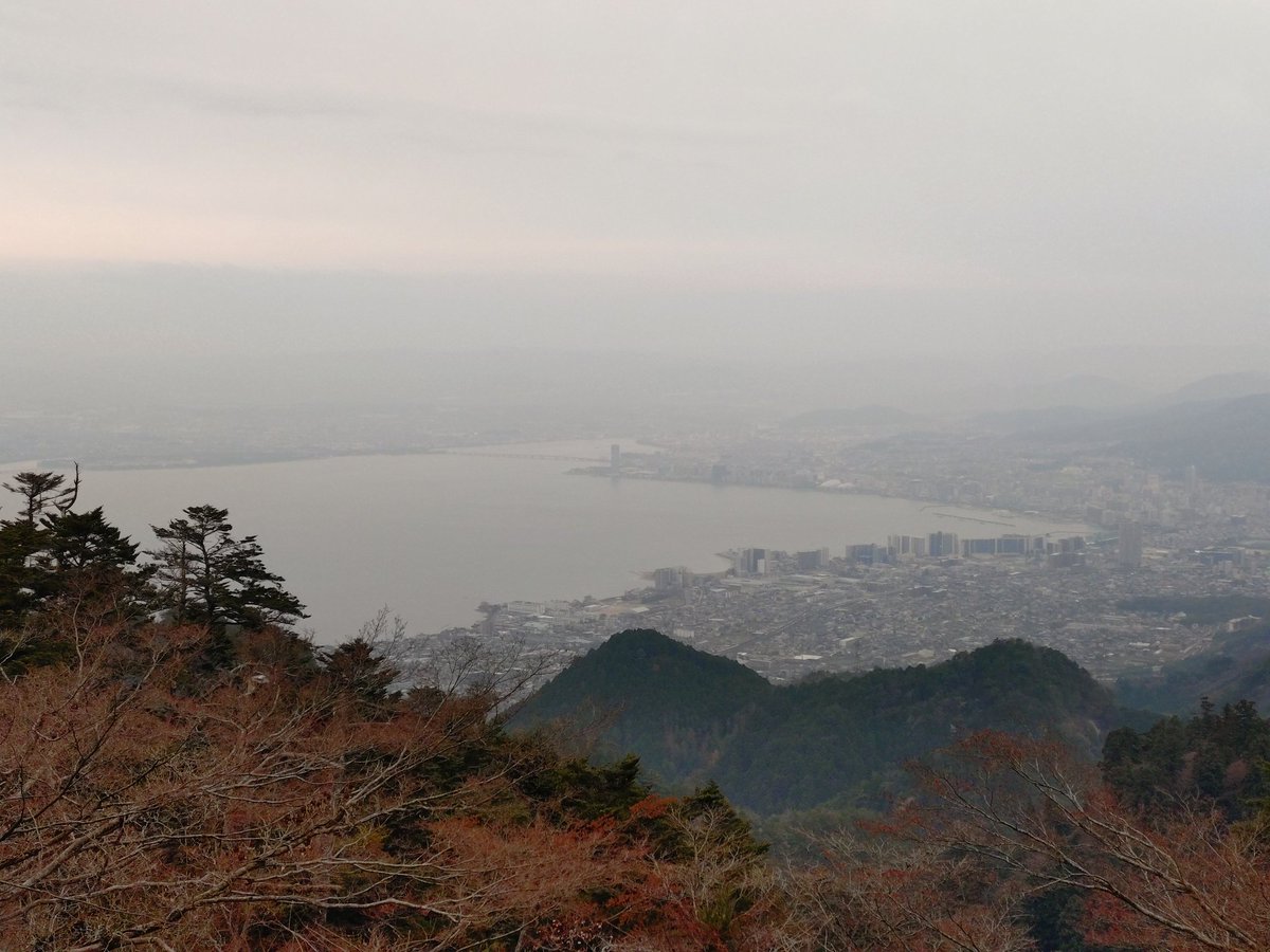 坂本ケーブル【公式】 tweet media