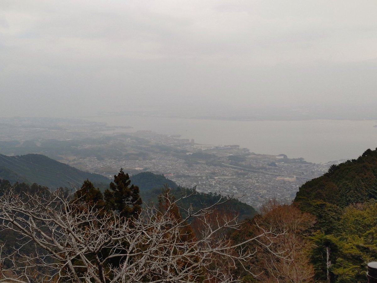 坂本ケーブル【公式】 tweet media