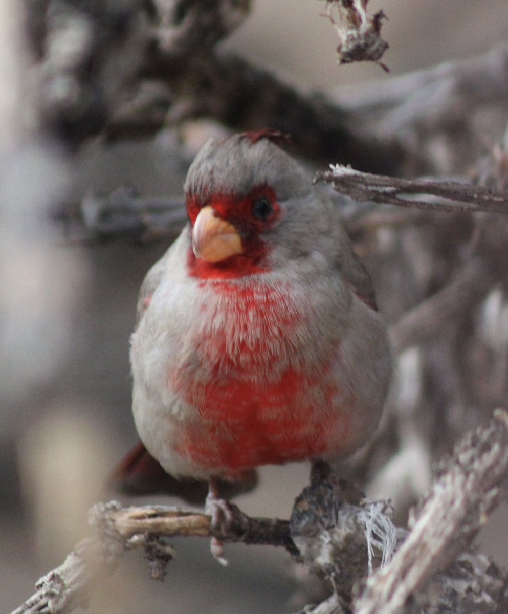 sjm8, PA-C tweet media