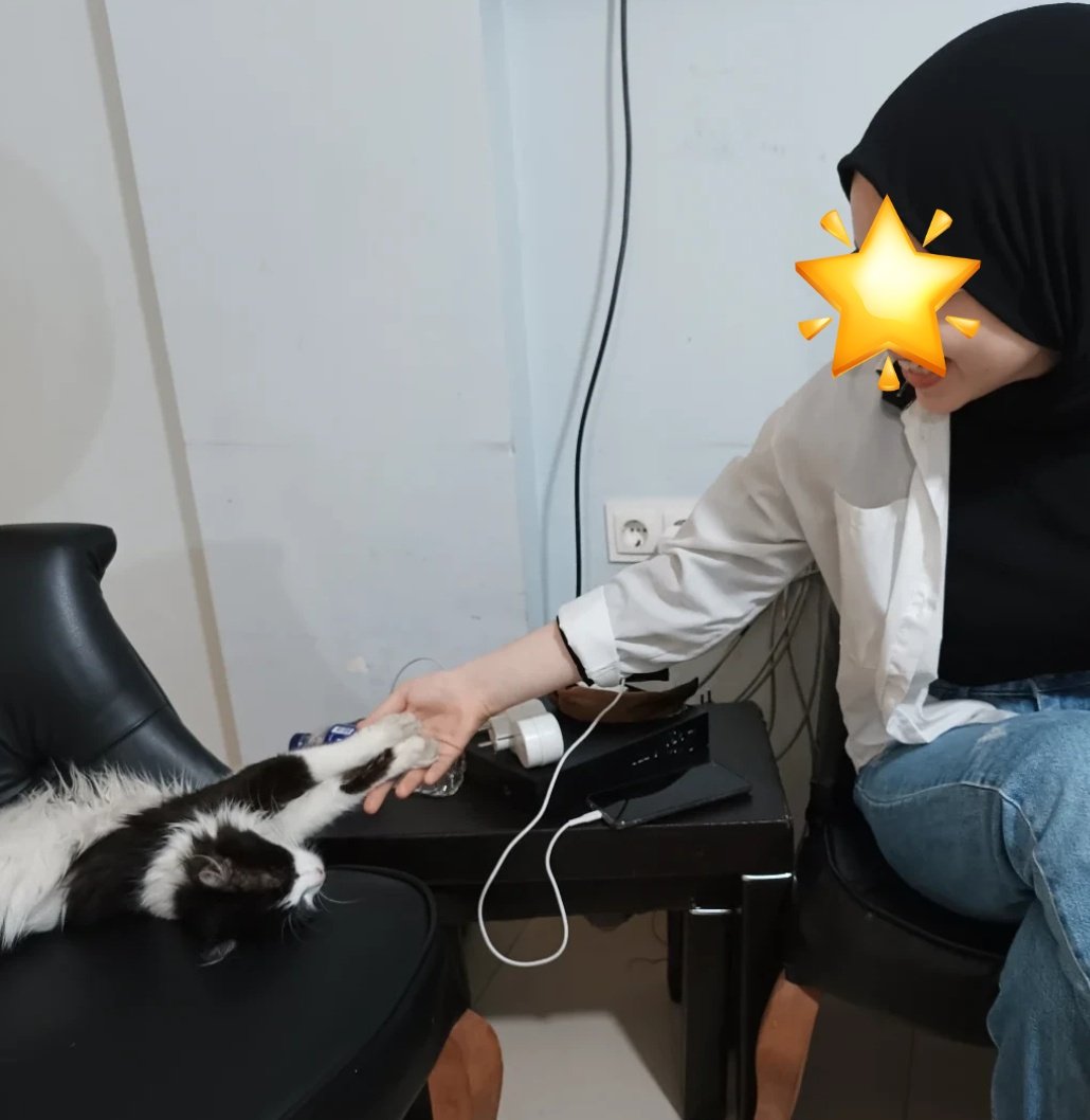 kurnaztilki🦊😛 tweet media