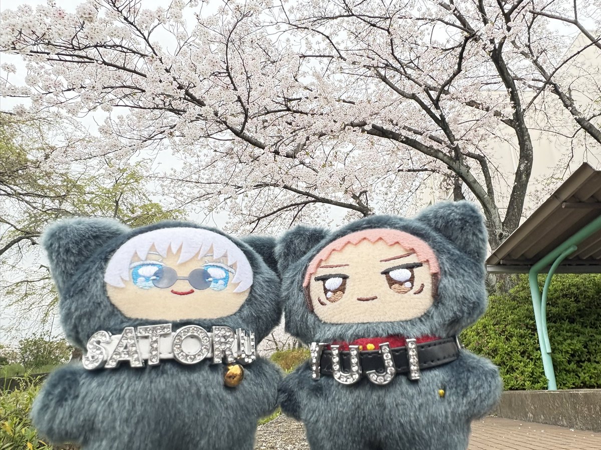 えどさも⟡ tweet media