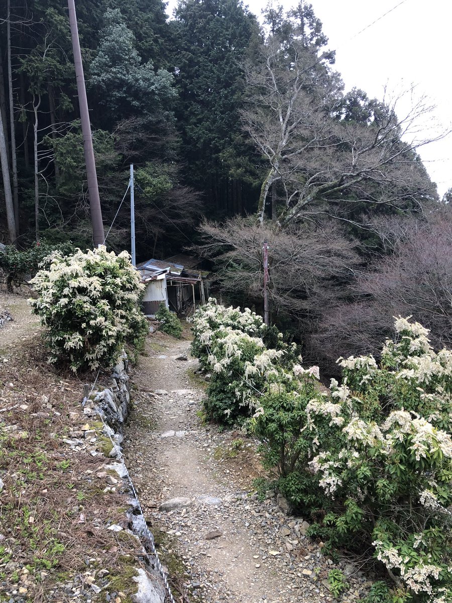 月輪寺【公式】 tweet media