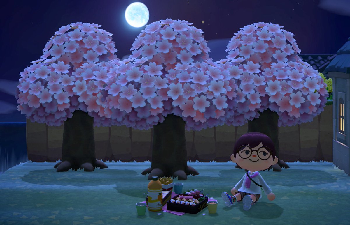 ume(うめ) tweet media