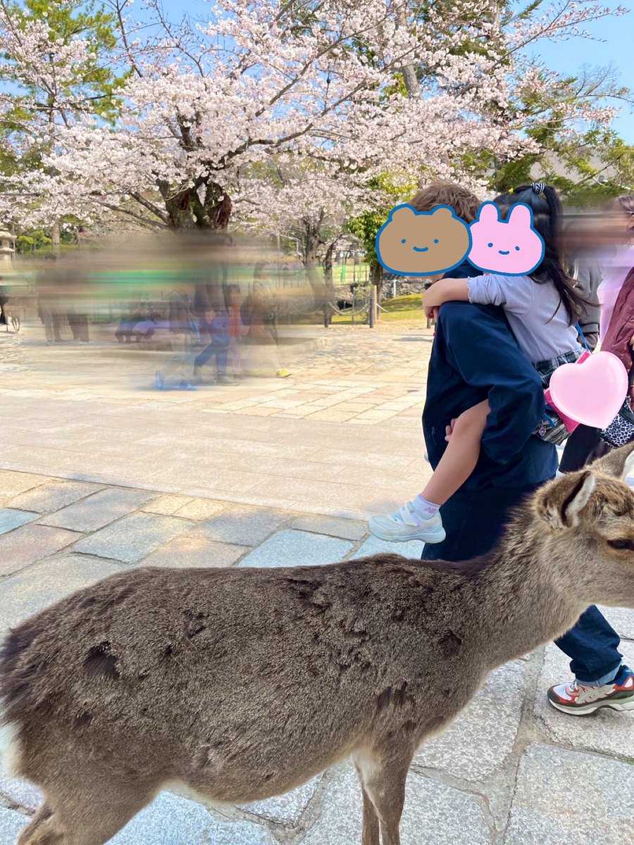 ume(うめ) tweet media