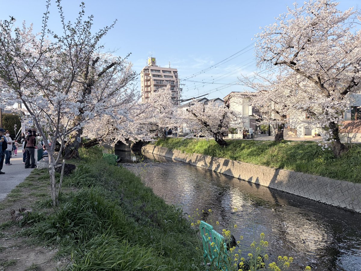 床鰻のかのんぴ tweet media