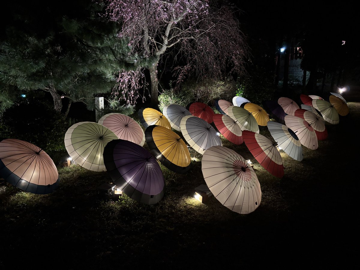 アダチケイジ tweet media