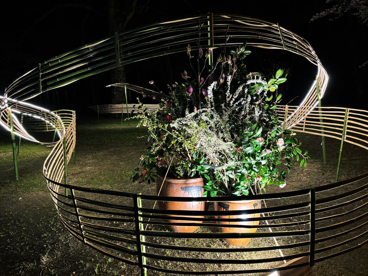 アダチケイジ tweet media