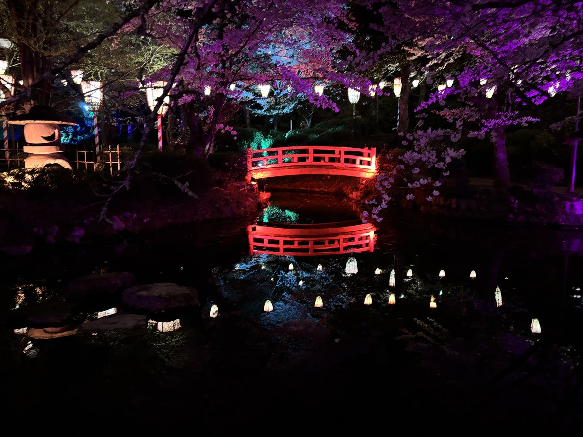 アダチケイジ tweet media