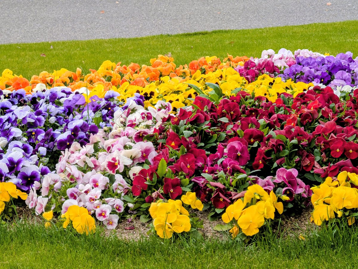 うーちゃん　(୨୧ᴗ͈ˬᴗ͈)♡感謝 tweet media