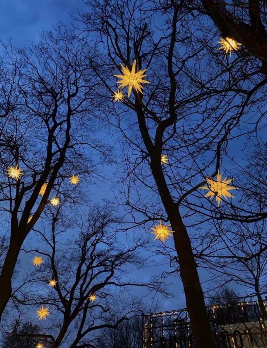 𝑺𝒆𝒓𝒆𝒏𝒍𝒚 tweet media