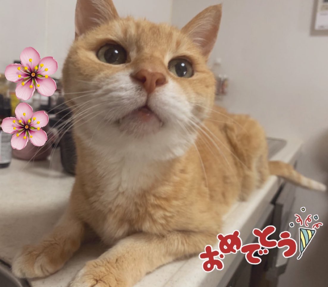 riechan1111 tweet media