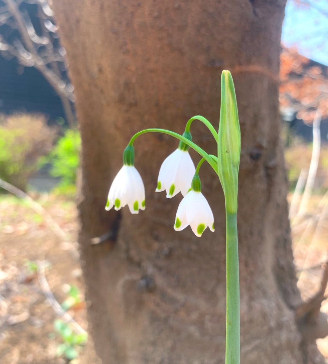 riechan1111 tweet media