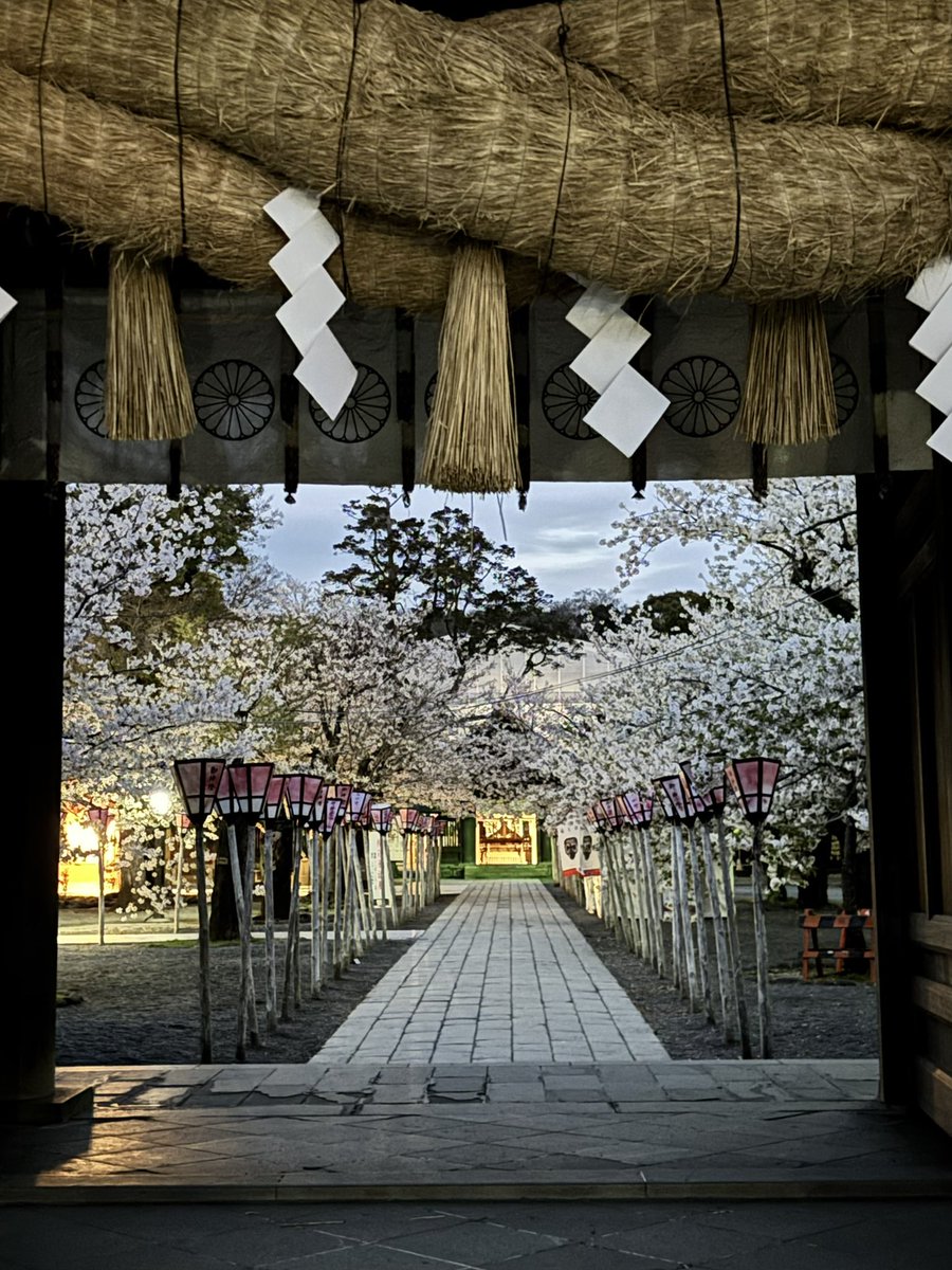 jordan2345232's tweet photo. 今朝の桜
＃桜 ＃三嶋大社 https://t.co/Pbn3syigec