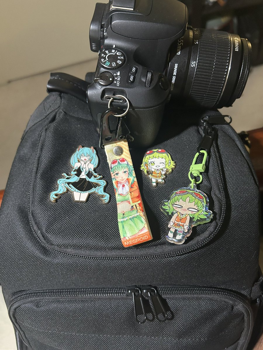 CHIEF_B1GNUT tweet media