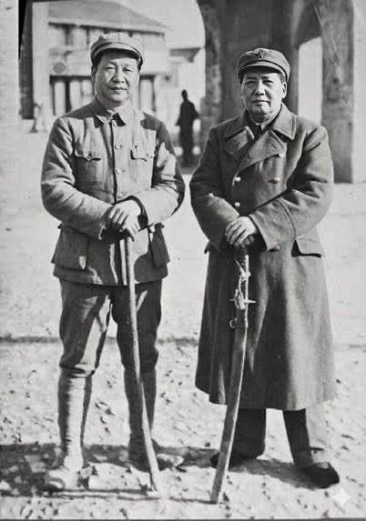 Miserable Sina tweet media