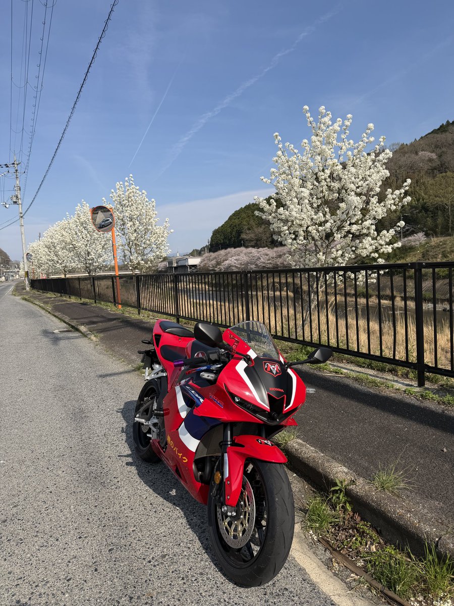 嫁さんに怒られて… tweet media