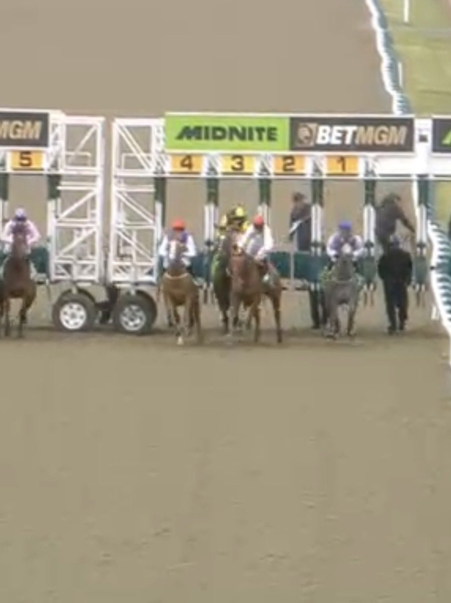 Aidan J Ryan tweet media