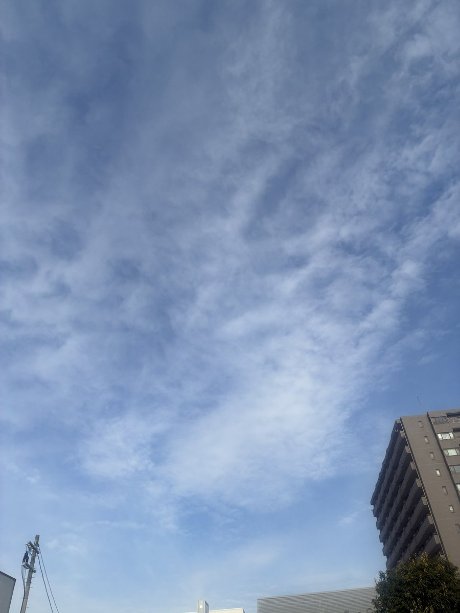 GET ON THE BRIDGE tweet media