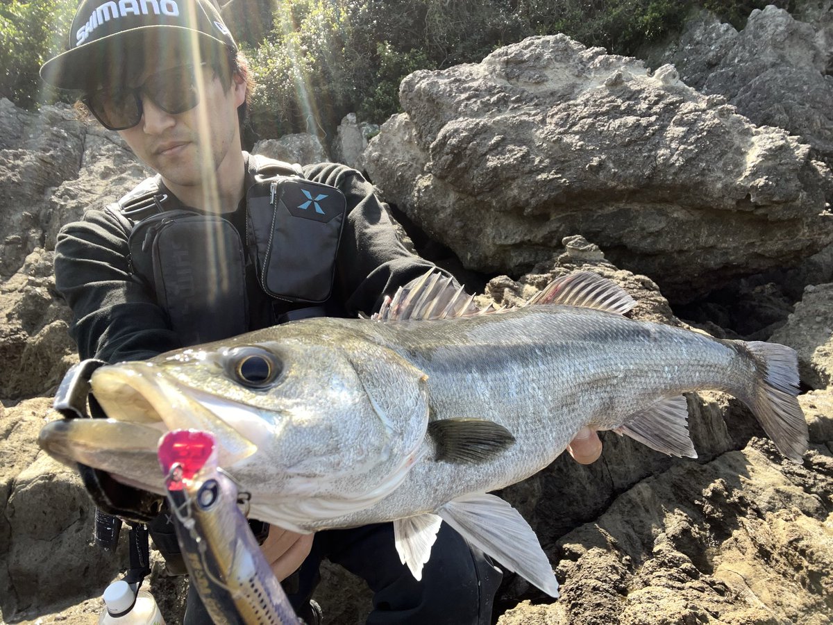 西村颯真【トウマ】 tweet media