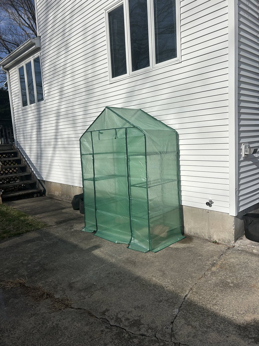 mrssteachct's tweet image. Greenhouse is up! We are determined to have a flourishing garden this summer. We have started Tomatoes, Onions, Peppers, Peas, Cucumbers, and Squash. We also did some raised beds of leafy vegetables (kale, lettuce, and spinach). Will keep everyone updated! 
#garden #fridayfun