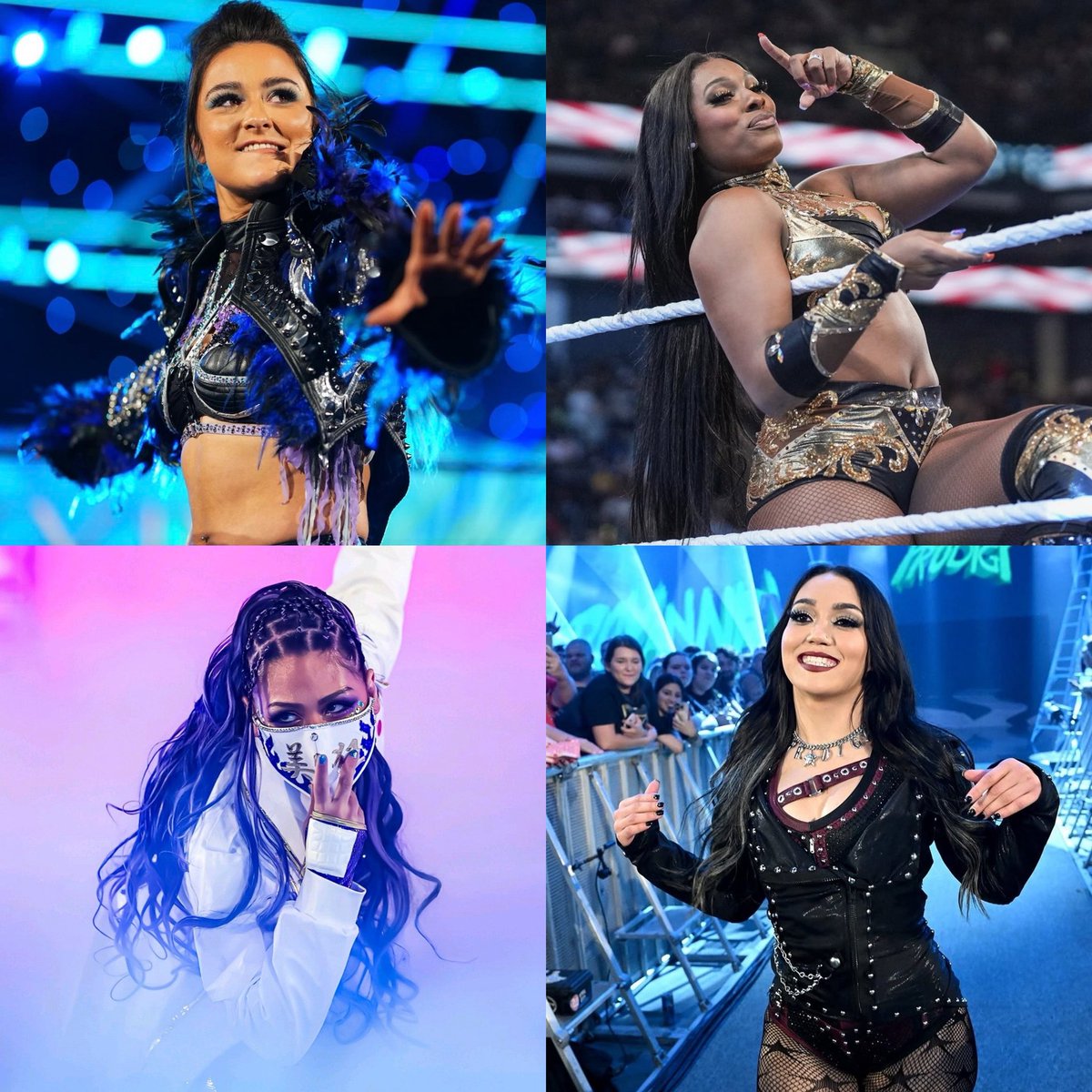 sebastian tweet media