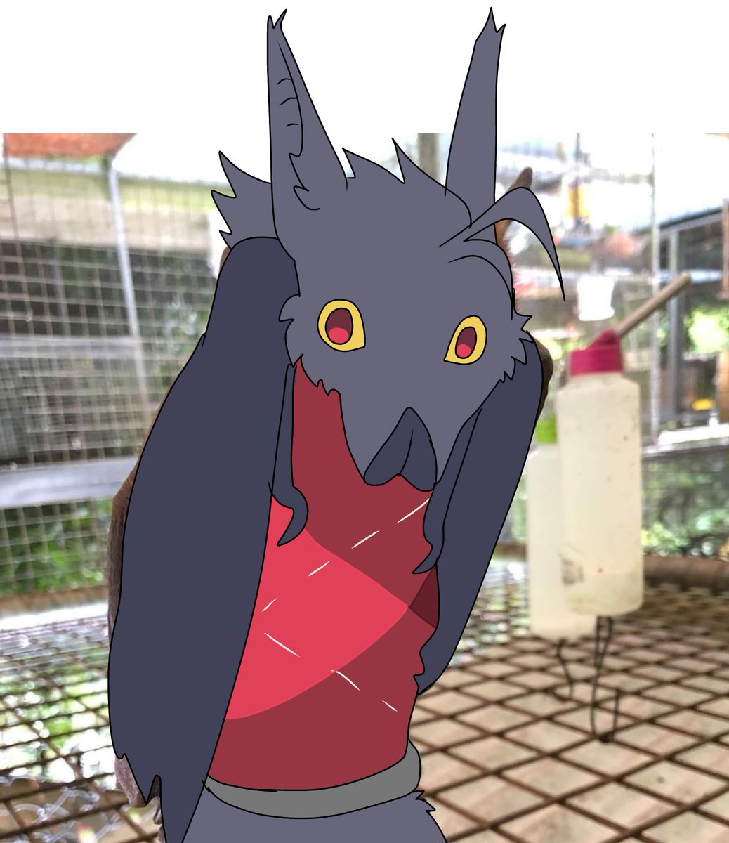 Kasper 🦇 tweet media