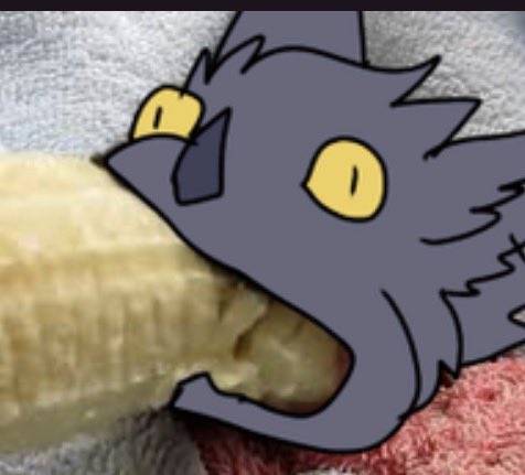 Kasper 🦇 tweet media