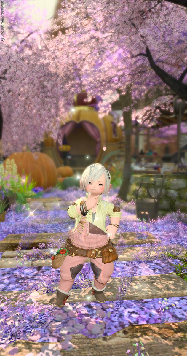 sasabon15@鞄 tweet media