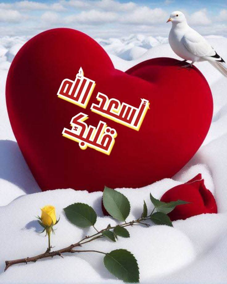 ساميه الديب tweet media