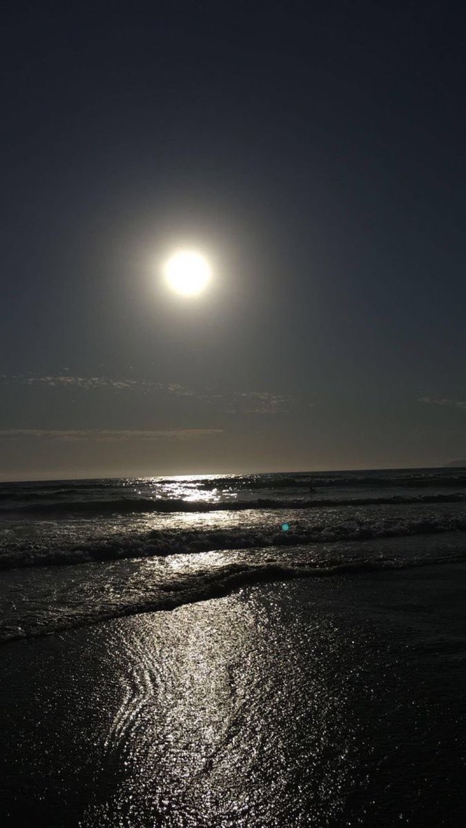 غصن 🌱 tweet media