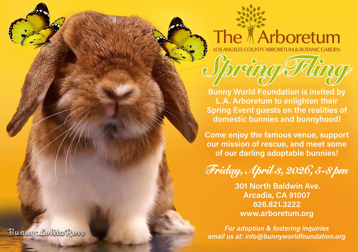 BunnyWorldFoundation tweet media