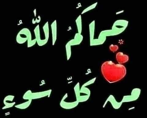 ساميه الديب tweet media