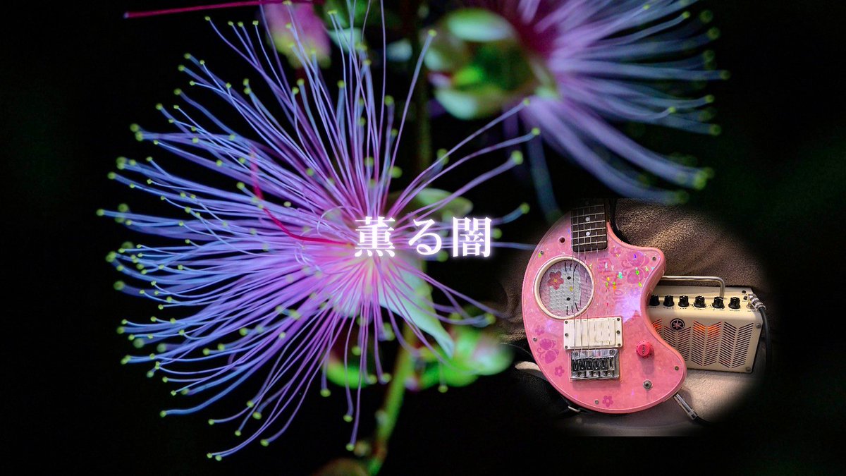 耀子Chaossekeer📖🔎 tweet media