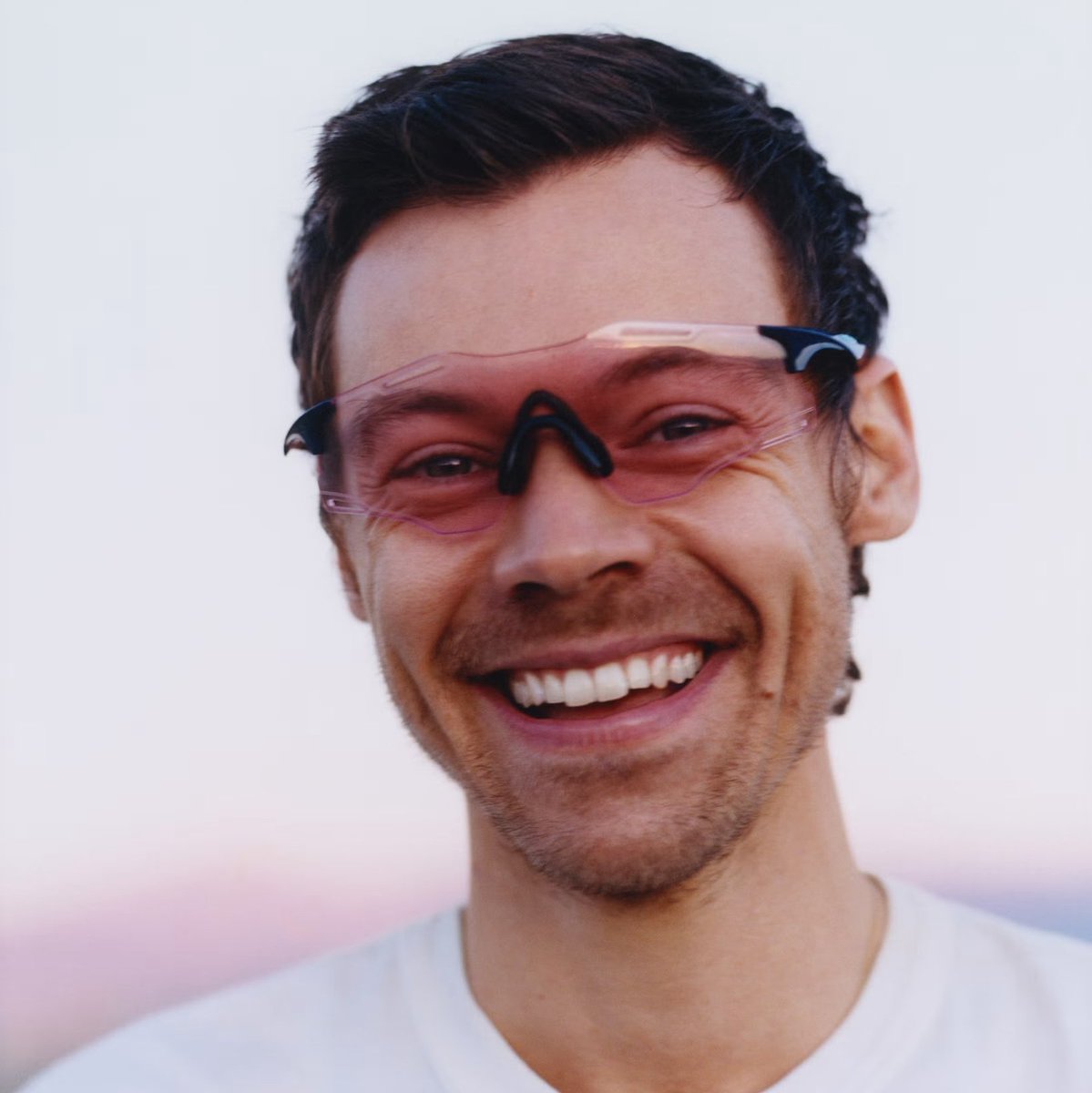 Harry Stats tweet media