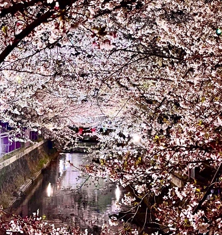 みいな tweet media