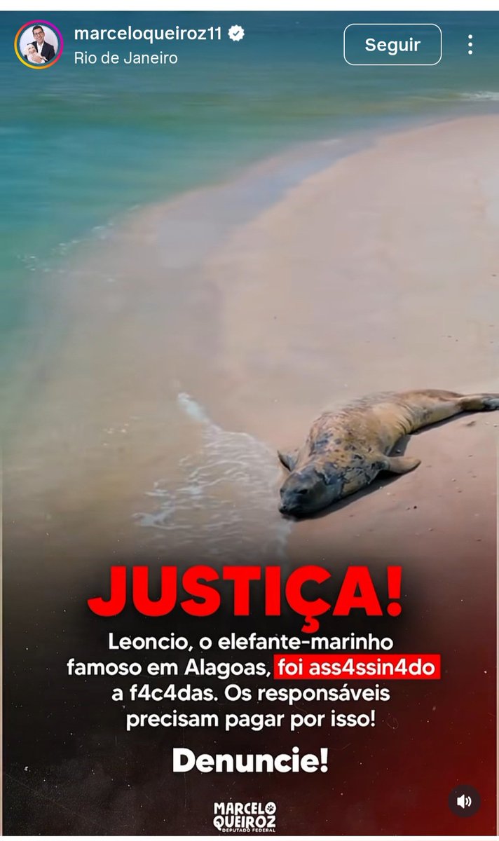 ana está lendo 📚 tweet media