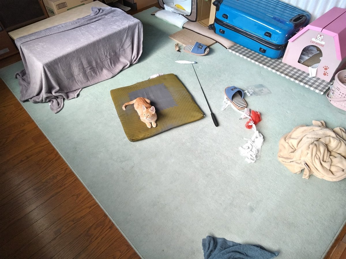 samuraidrive tweet media