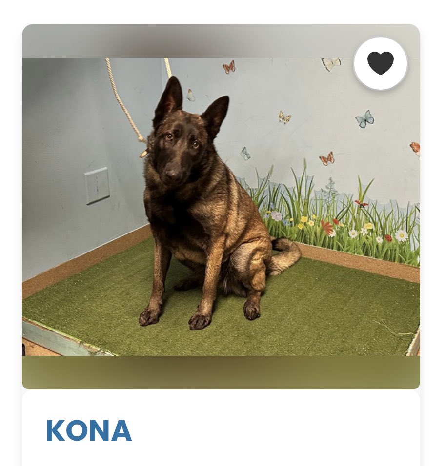 Labigator Mom tweet media