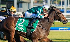 Grahame Begg Racing tweet media