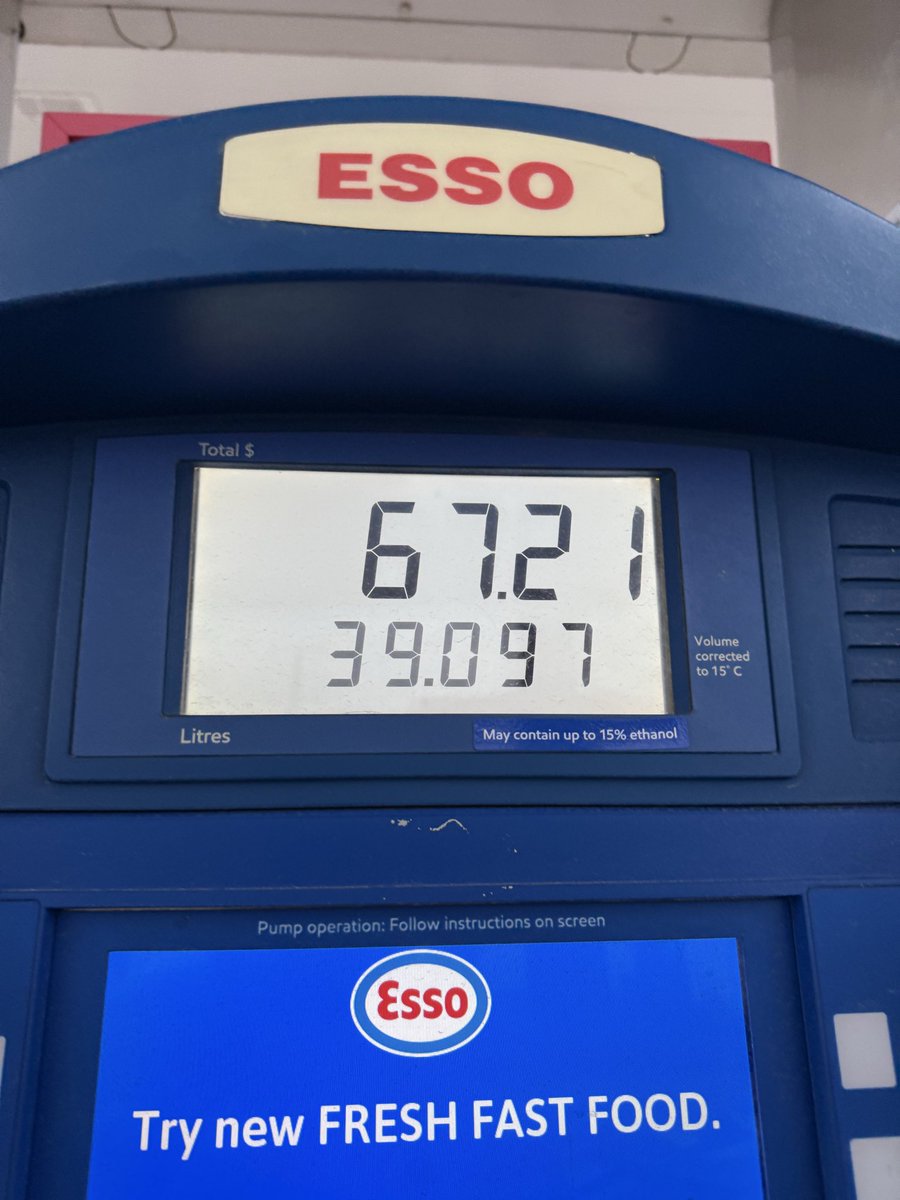 tristyn⭐️ tweet media