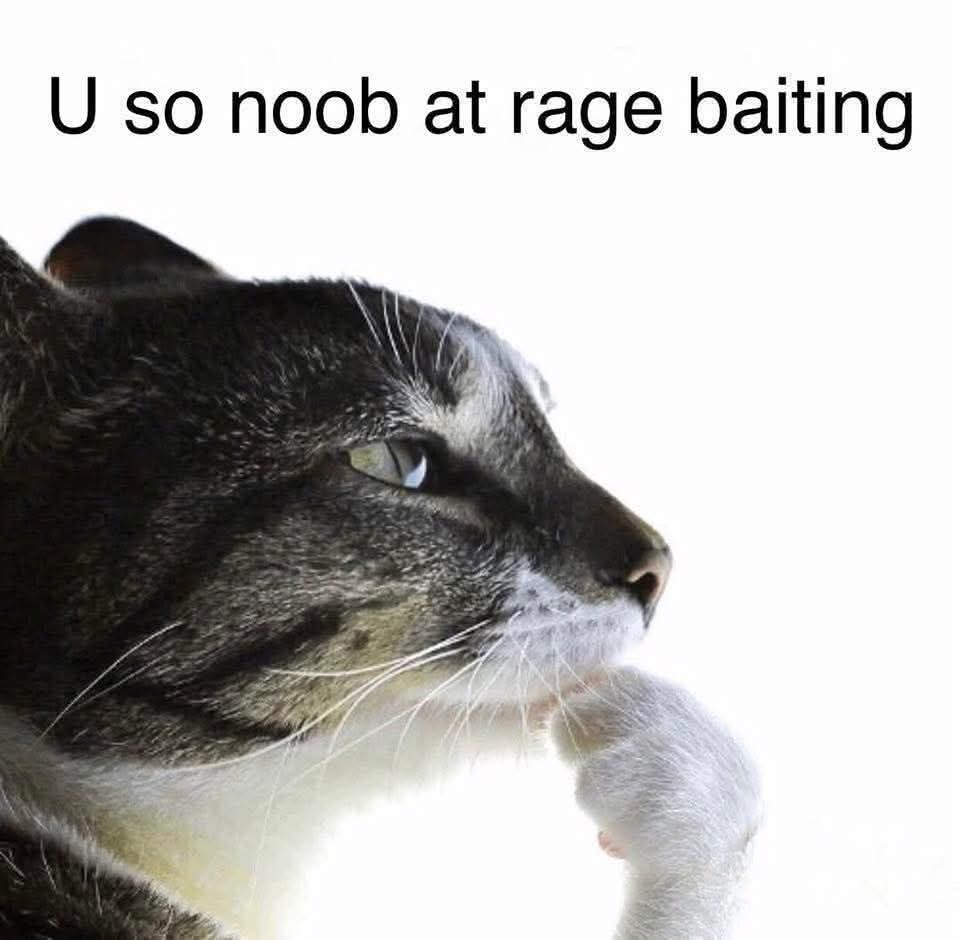 Smy duck ick tweet media