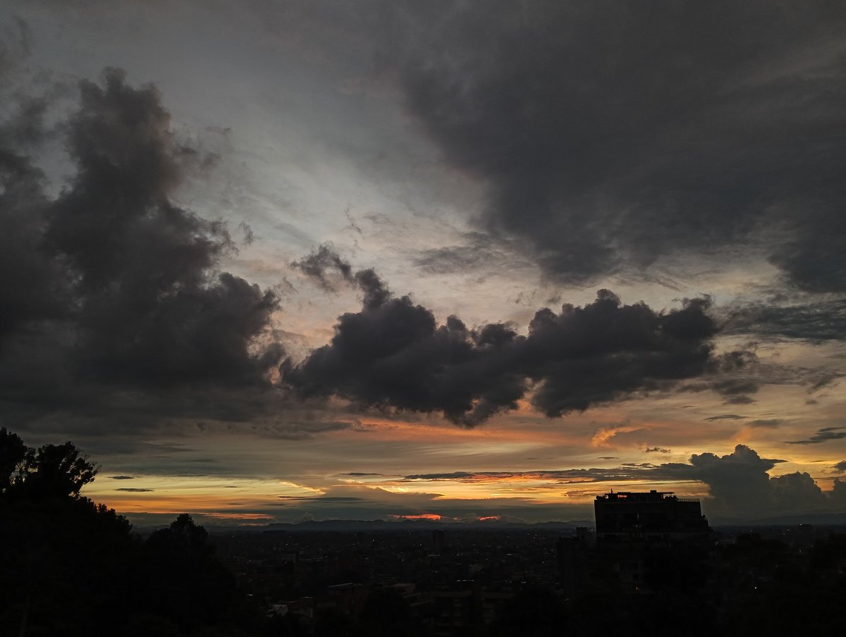 wilcheschaux tweet media