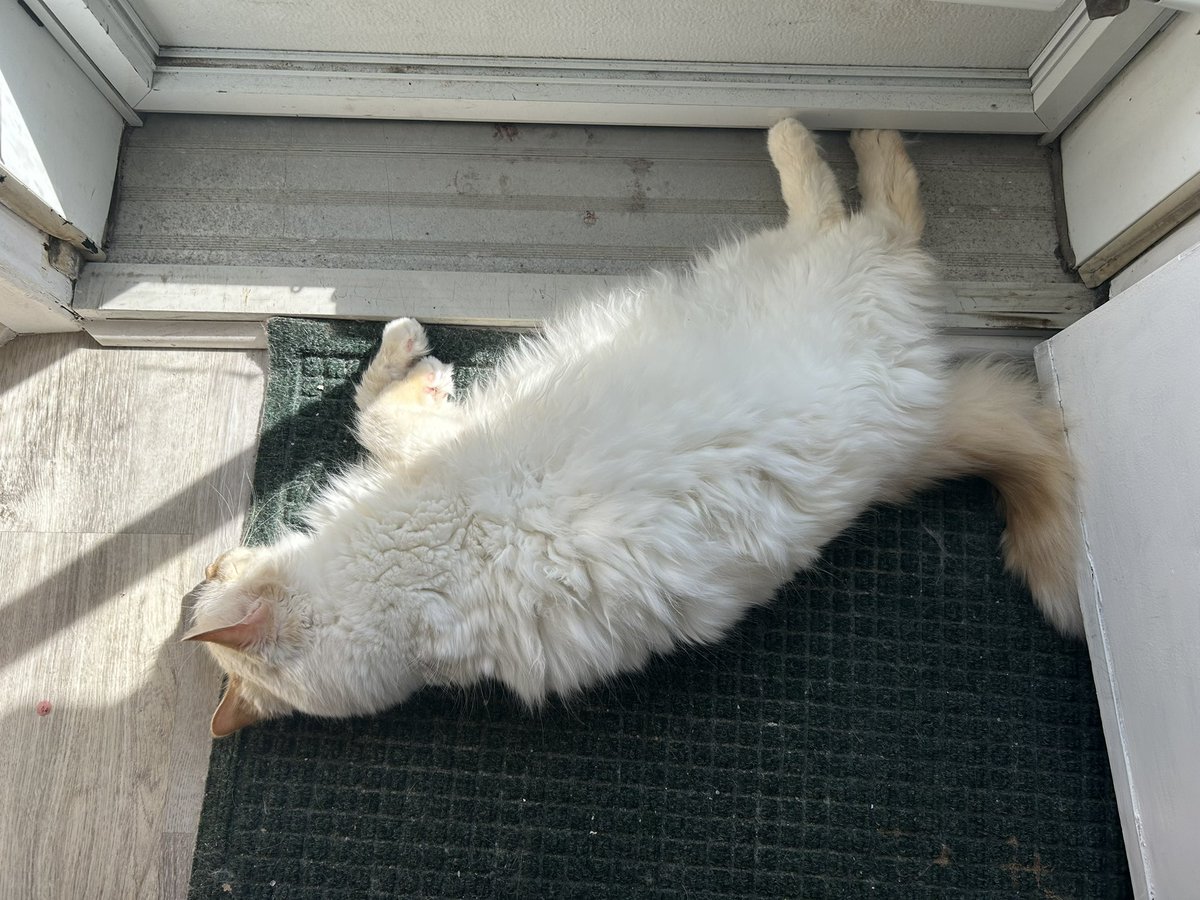 ✨💣 alix 💣✨ tweet media