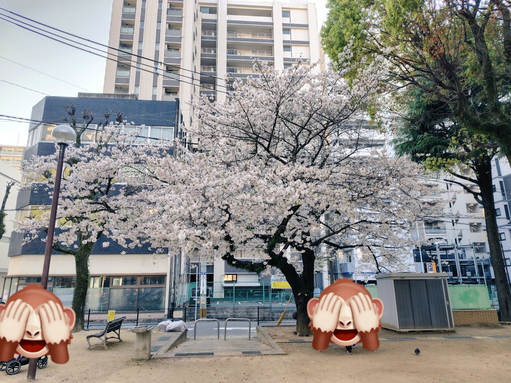 k_toshi（とし） tweet media