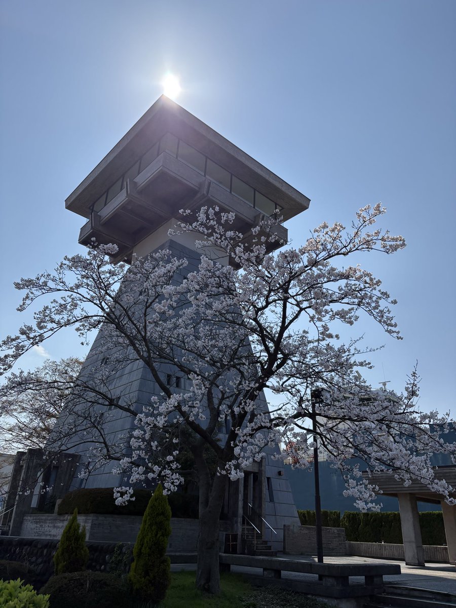 平和島のサウナー tweet media