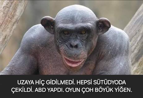 Yımırta tweet media