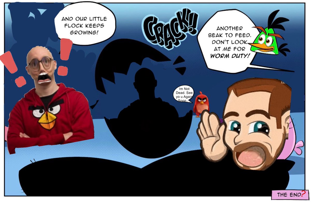 A Random Dude’s Angry Birds Opinions tweet media